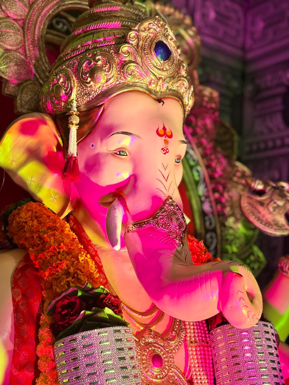माजिवडा नाक्याचा राजा